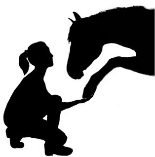 Nikkis Hovslageri & Horsemanship